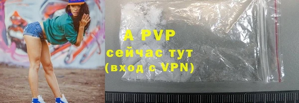 apvp Бородино