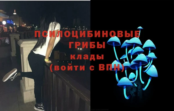 apvp Бородино
