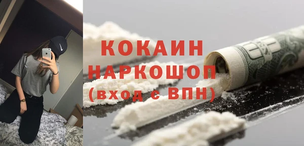 apvp Бородино